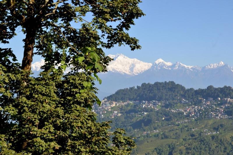 Darjeeling Bnb المظهر الخارجي الصورة