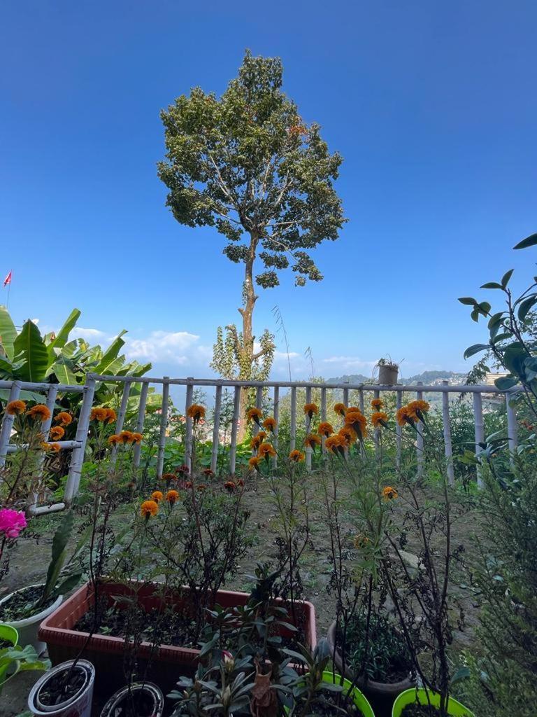 Darjeeling Bnb المظهر الخارجي الصورة